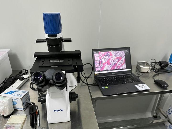 明美倒置显微镜助力拉芳集团活细胞功效测试
