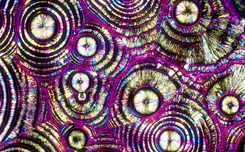 利用偏光显微镜看梦幻色彩般的酒水晶粒