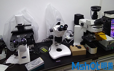 荧光模块、显微镜相机助力高校人类遗传学研究