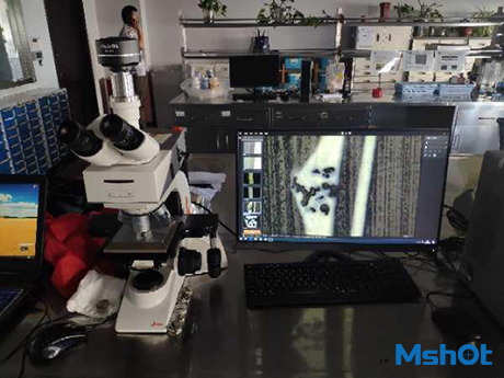 明美显微镜摄像头应用于金属材料成像