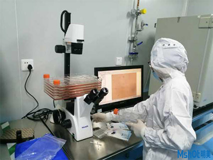 倒置显微镜用于细胞工厂培养及观察1.jpg