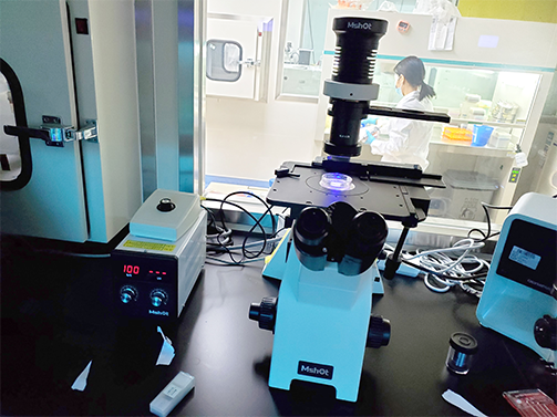 明美倒置荧光显微镜应用于新冠蛋白检测