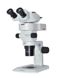 体视荧光显微镜.jpg