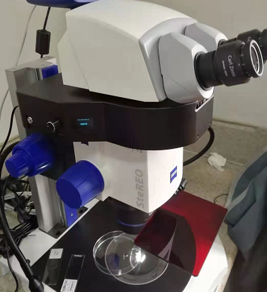 蔡司显微镜获得超分辨光激活定位显微镜专利