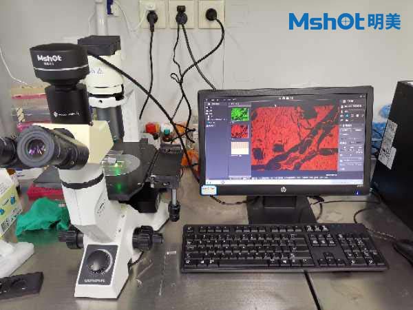 明美倒置荧光模块助力显微镜升级