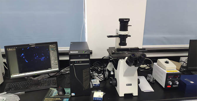 荧光显微镜在植物学领域内的相关应用