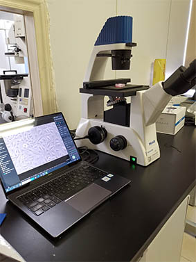 明美倒置荧光显微镜用于细胞房对活细胞观察