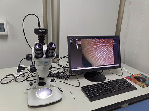 明美体视显微镜助力湖南师范大学胚胎样品观察