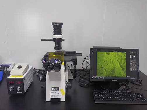 荧光显微镜用于制药企业研发