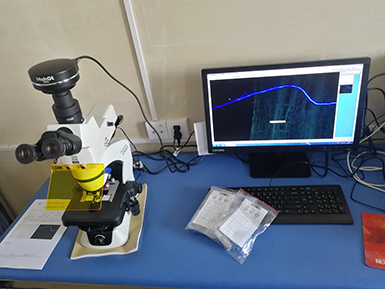 明美显微镜相机MSX2用于拍摄金葡菌
