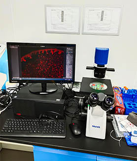 明美倒置荧光显微镜应用于微流控诊断