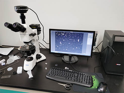 偏光显微镜助力东北林业大学淀粉观察