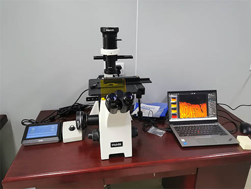 倒置荧光显微镜助力活细胞荧光转染观察