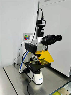 荧光显微镜MF31.jpg