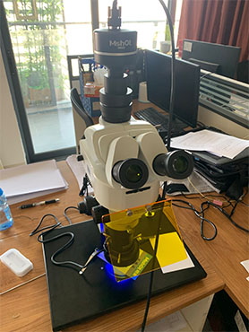 体视荧光显微镜MZX81.jpg