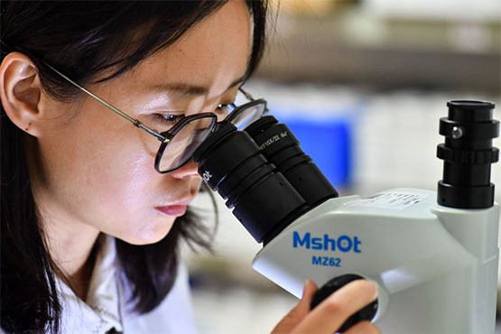 明美体视显微镜助力广东省科学院发现新物种