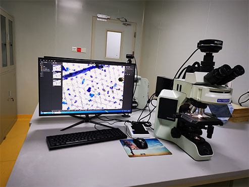 明美显微镜摄像头用于细胞切片观察