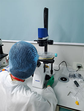 细胞工厂显微镜MI52-CF(1).jpg