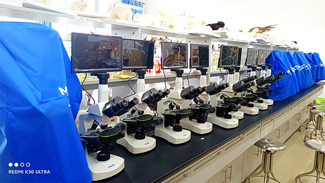 明美生物显微镜应用于实验教学