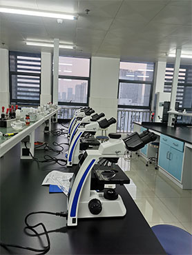 明美生物显微镜应用于微生物实验教学