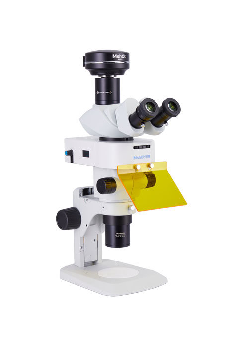 沥青荧光显微镜图片