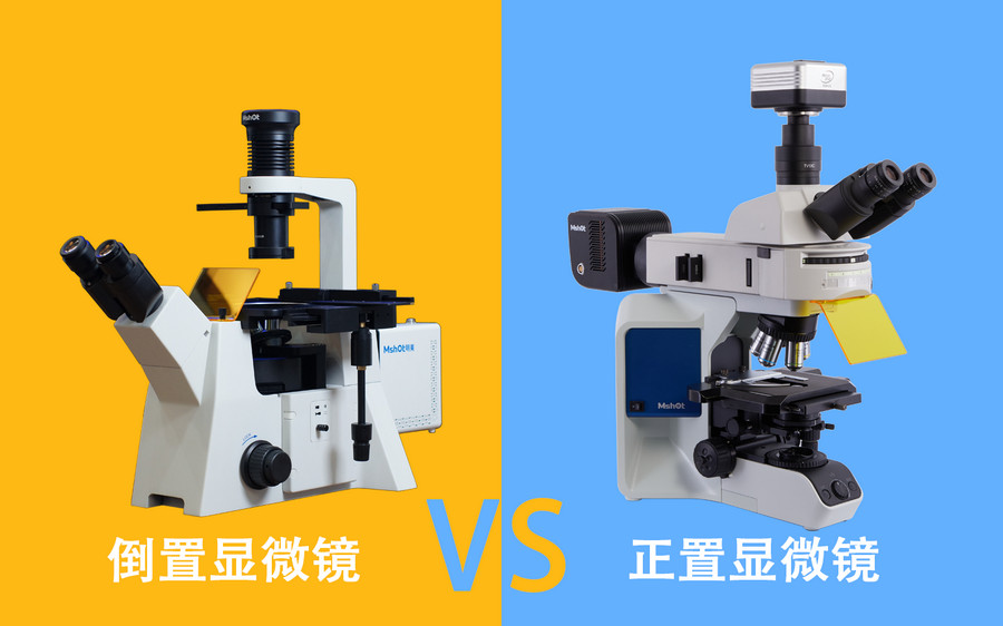 倒置显微镜和正置显微镜有什么区别？