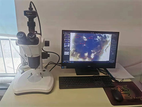 明美体视显微镜助力天津大学聚氨酯海绵填料观察