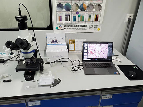 细菌观察用什么显微镜相机呢？