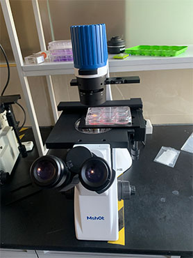 倒置显微镜MI52.jpg