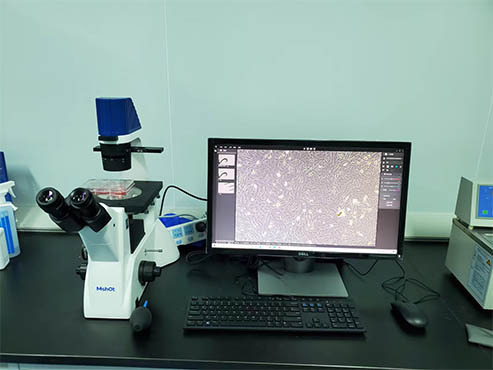 用于活细胞观察的倒置显微镜-明美MI52-N