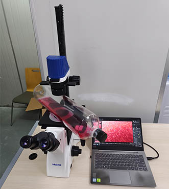 明美细胞工厂显微镜用于疫苗研究