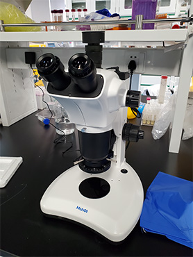 明美体视显微镜用于晶体筛选