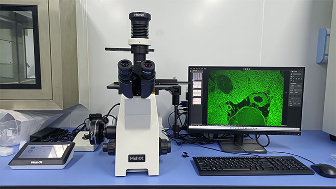 明美倒置荧光显微镜应用于贴壁细胞、免疫组化观察