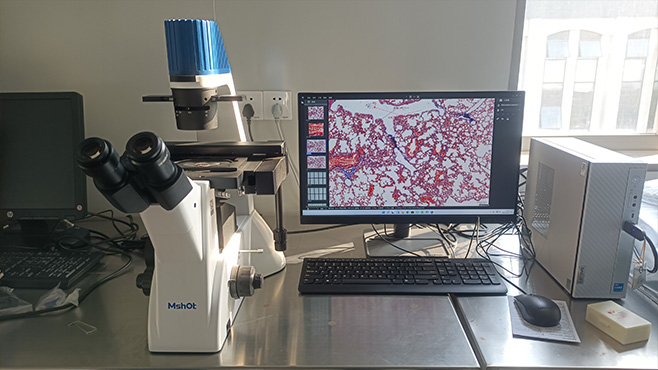 明美倒置显微镜助力广西大学细胞观察