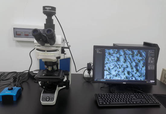 明美金相显微镜助力中南大学冶金与环境学院材料分析