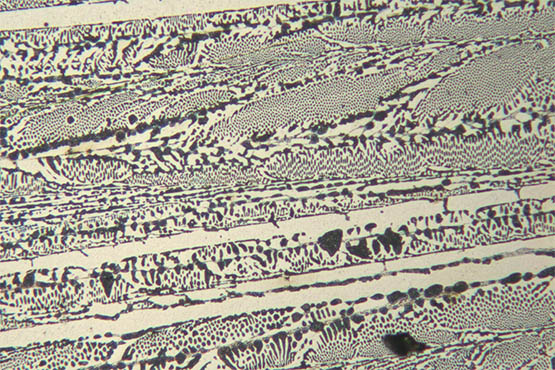 金相显微镜3.jpg