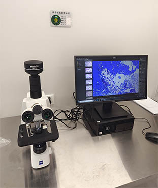 显微镜相机助力微生物拍摄与分析