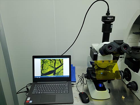 荧光生物显微镜3.jpg