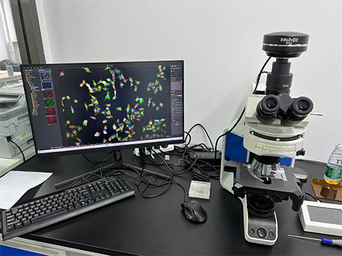 研究级荧光显微镜应用于荧光玻片观察