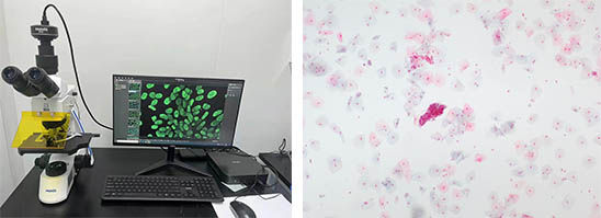 荧光生物显微镜.jpg
