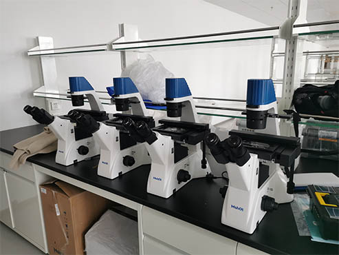 倒置显微镜MI52-N助力安徽医科大学第一附属医院细胞观察