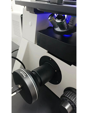 倒置荧光显微镜MF53-N1.jpg