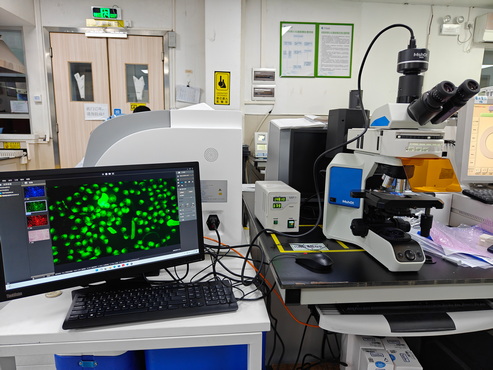明美科研级荧光生物显微镜MF43-M应用于CTC检测
