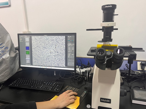 明美倒置荧光显微镜助力山东农大食品学院荧光活细胞观察