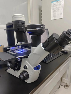奥林巴斯倒置显微镜CKX53荧光模块升级，参数可视化，性能稳定
