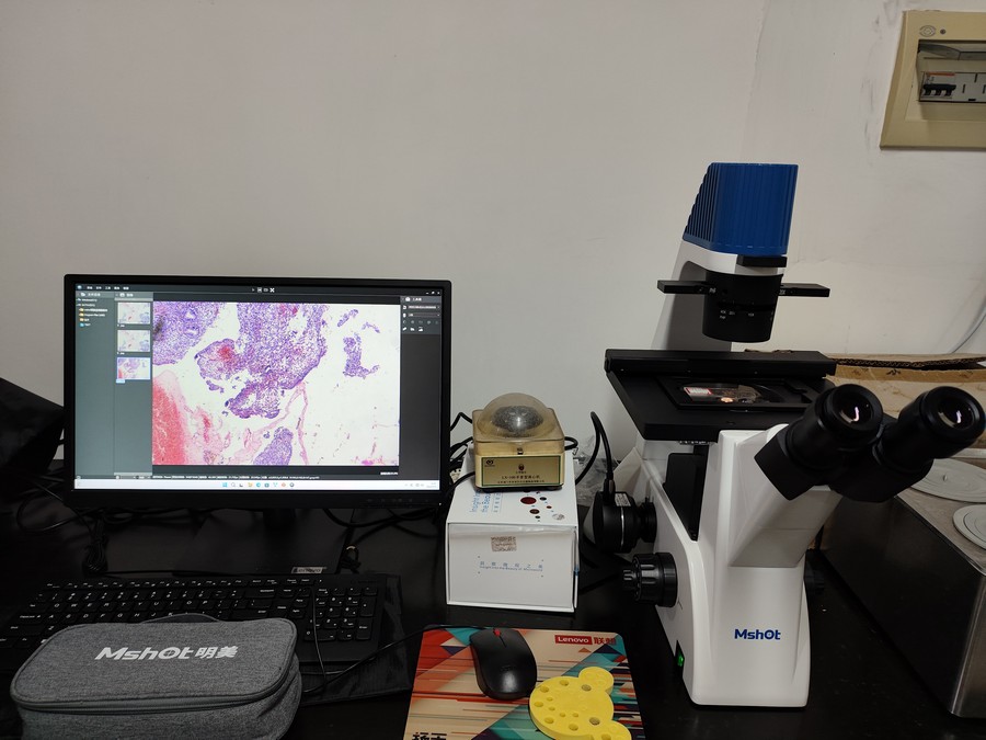 倒置显微镜助力中南大学湘雅医学院细胞观察