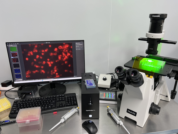 明美研究级倒置荧光显微镜MF53-N应用于细胞转染观察