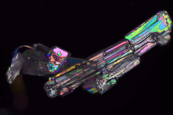 明美生物偏光显微镜ML31-P应用于晶体观察