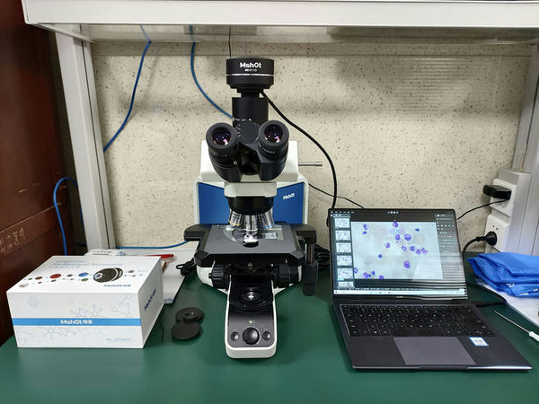 明美研究级生物显微镜助力骨髓细胞观察